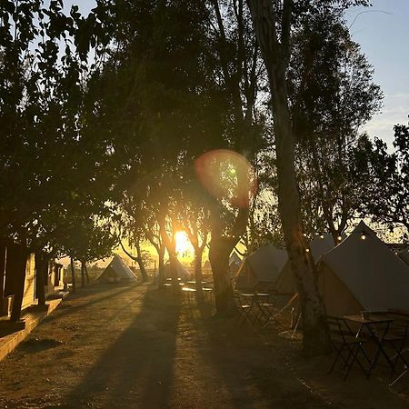 Camping Delta Natura La Tancada Ампоста Екстер'єр фото
